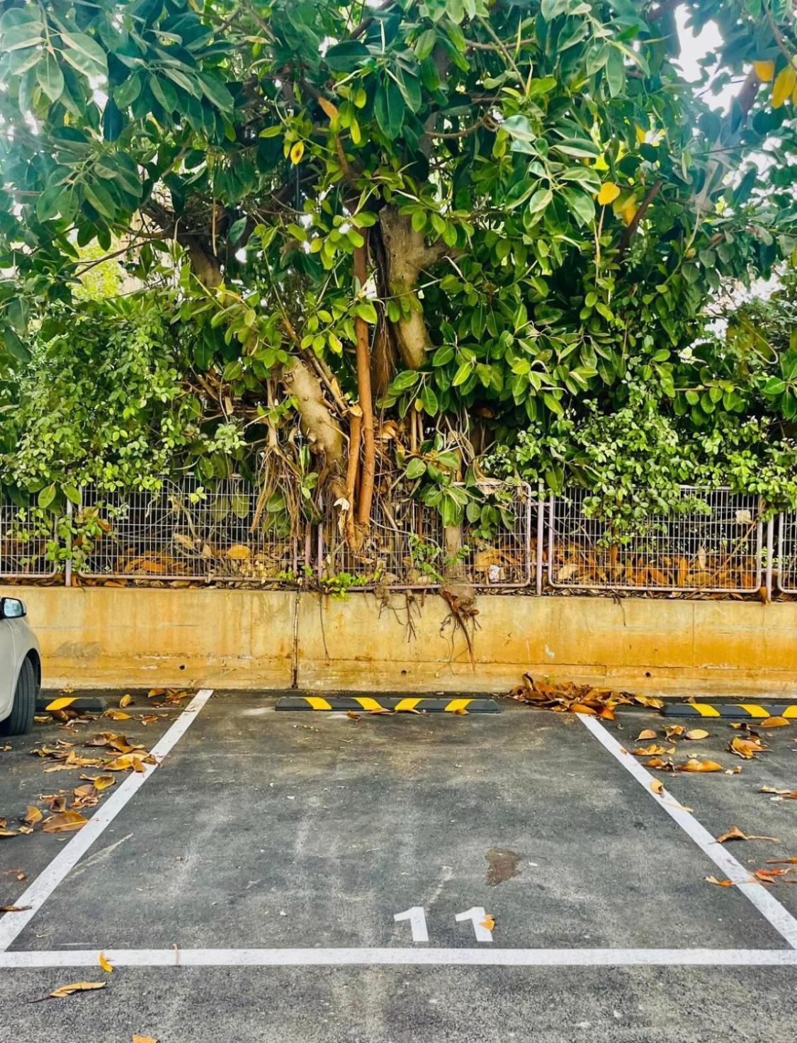 High-End Apartment , With A Private Parking And An Elavator Tel-Aviv Extérieur photo